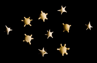 star-sand-grains-from-southern-japan.jpg.webp