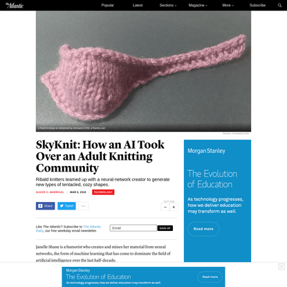 SkyKnit: How an AI Took Over an Adult Knitting Community