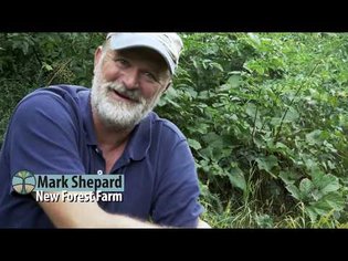 Mark Shepard - Pioneer Agroforestry Farm Tour Video Series