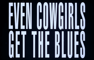even.cowgirls.get.the.blues.1993.dvdrip.x264-e411-cg.mkv-00003.png