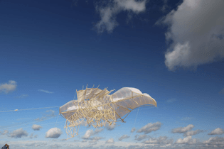 Strandbeest_002