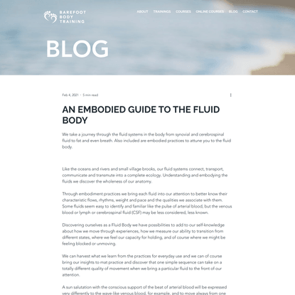 AN EMBODIED GUIDE TO THE FLUID BODY
