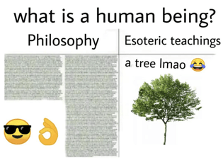 what-is-a-human-being-a-tree-lmao.jpeg