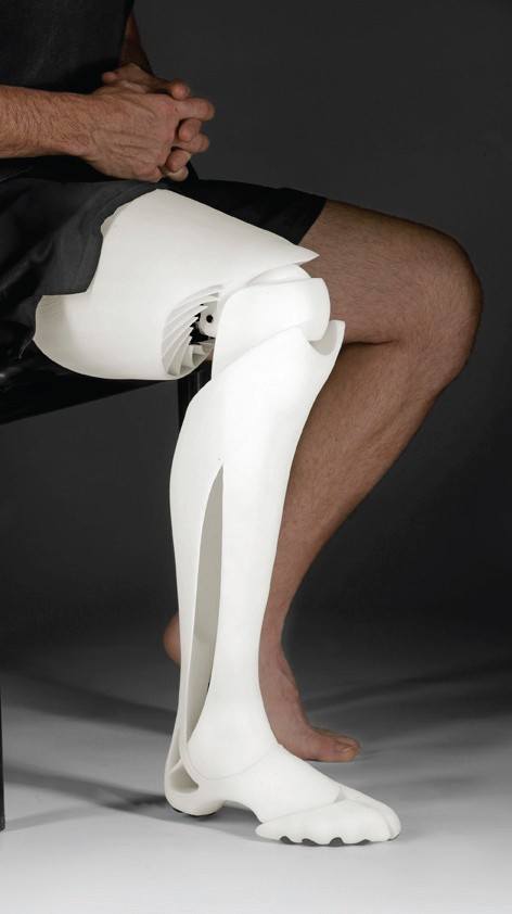 f2a39_artificial-leg.jpg