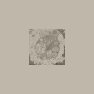 MTS1 2023 by hew
