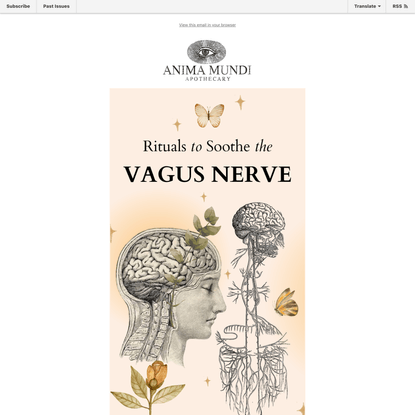 💎 8 Rituals to Soothe the Vagus Nerve