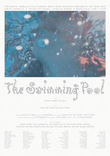 swimming_pool_web.jpg