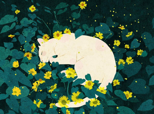 Xuan Loc Xuan
