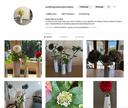 budding vase subscription: 