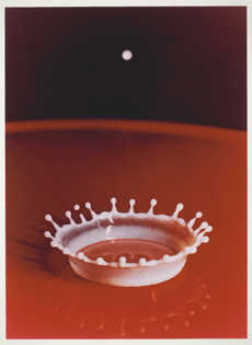 Harold Eugene Edgerton - Milk Drop Coronet (1957)