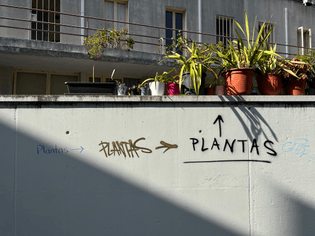 Plant pots on a wall in Porto, Portugal. Multiple Graffiti point to the pots, stating the obvious: "Plantas".