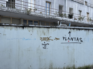 Plant pots on a wall in Porto, Portugal. Multiple Graffiti point to the pots, stating the obvious: "Plantas".
