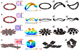 Magnetic 3D forms 