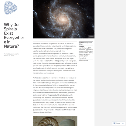 Why Do Spirals Exist Everywhere in Nature?