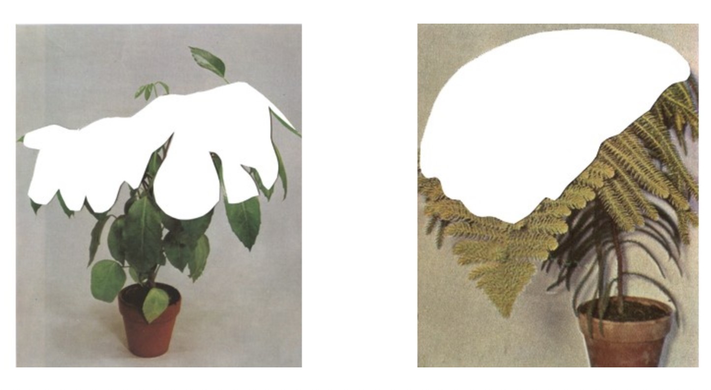 Ruth van beek 