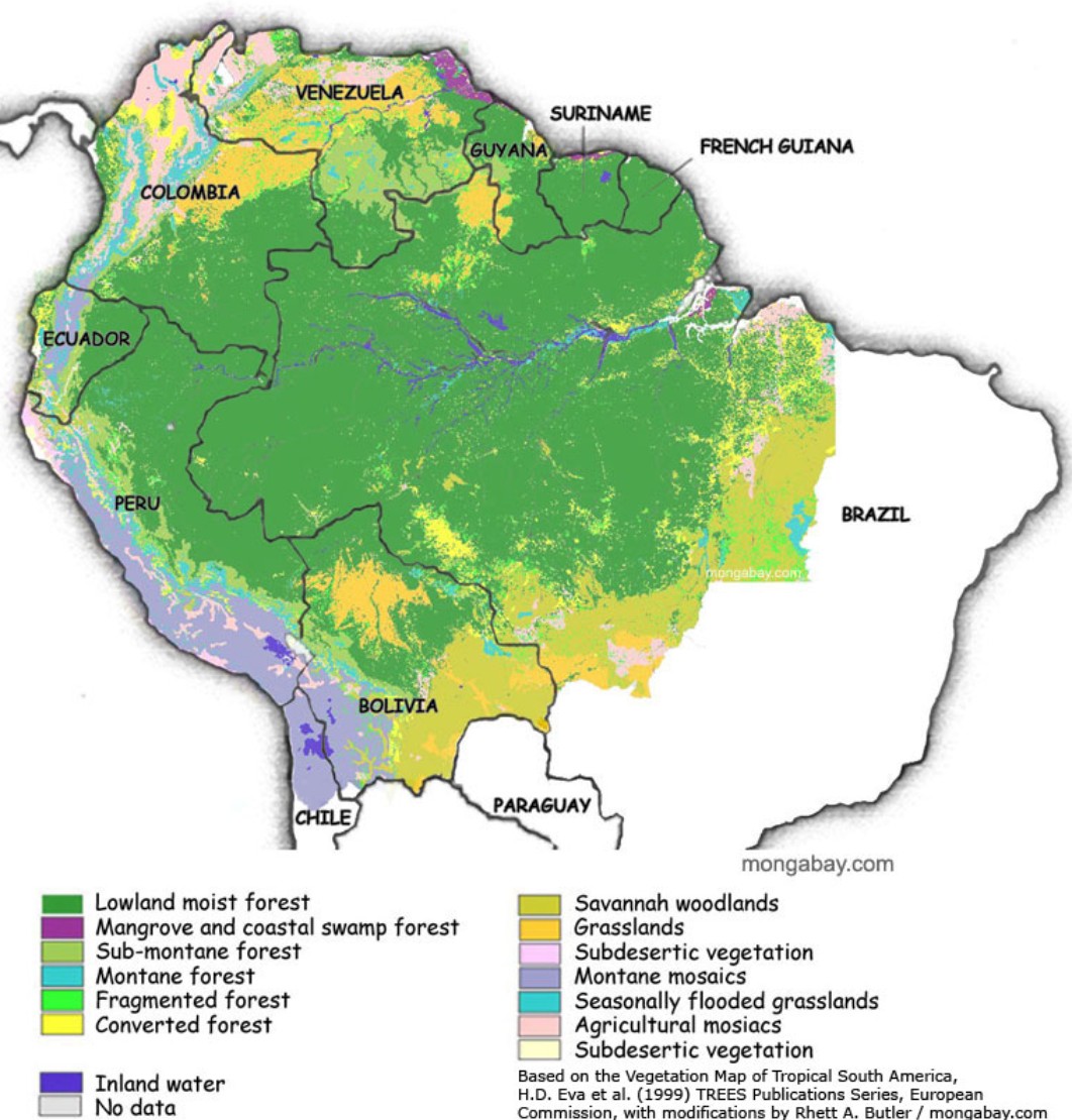 Карта лесов Амазонии