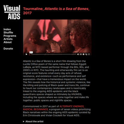 Tourmaline, Atlantic is a Sea of Bones — Visual AIDS Video Commissions