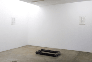 Trisha Donnelly, 'Jean Painlevé'