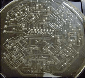 The collection of air valves can carry out computations, performing like an 8-bit processor