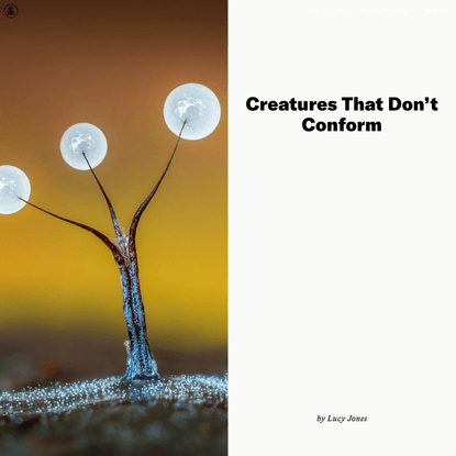 Creatures That Don’t Conform – Lucy Jones