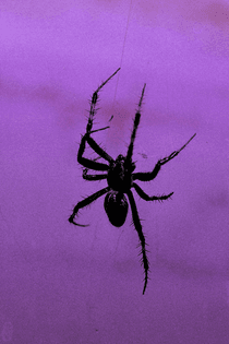 218b8e7989e2f6c53555810a1f150ee4.png