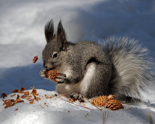 abert-eats-2.jpg