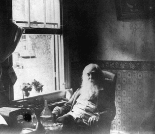 Walt Whitman enjoying the breeze1883