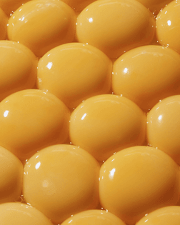 Eggs – Rikkiward