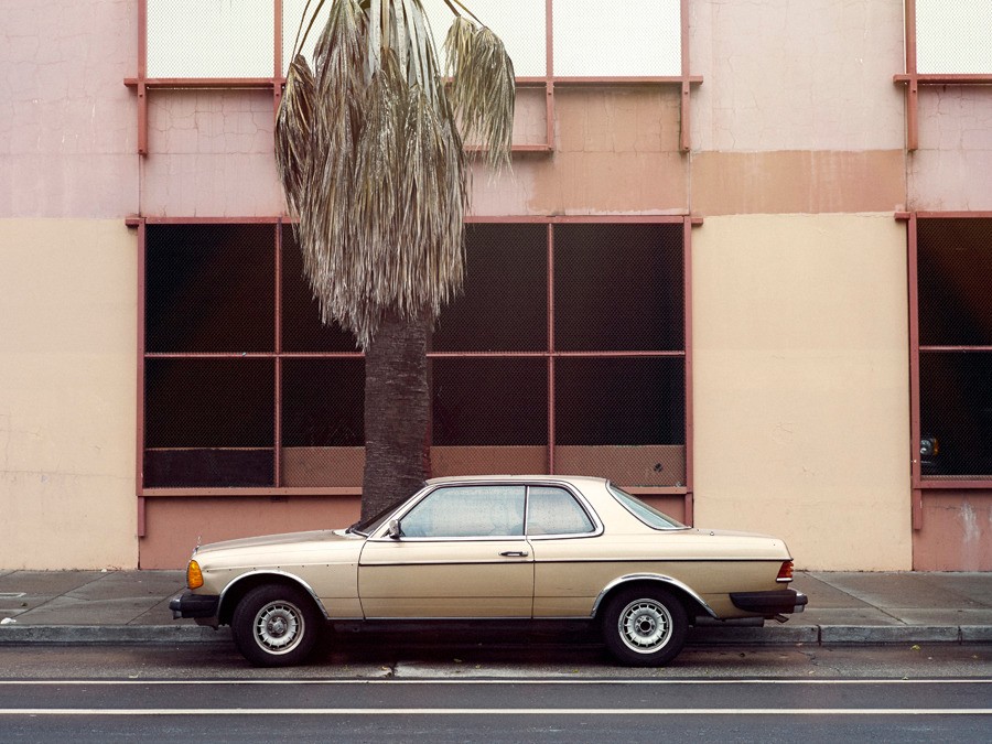 leaves-tree-palm-tree-car-grey-pale-pink-lonely-empty-flat-plaster-nature-city-civilisation-window-gold-grid-symmetry...