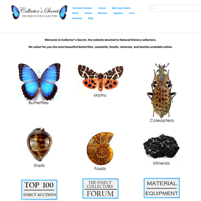 Collector’s Secret | Insects, Shells, Fossils, Minerals