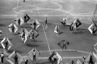 Manuel Casanueva, Torneos: ‘Giro y realce de triple cortejo sobre volutas’ (1975)