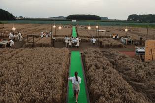 fast-forward-eventbureau-gent-come-a-casa-productactivatie-veld-wolvertemrestorante-del-grano-7.jpg