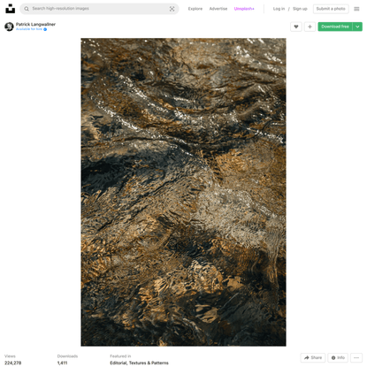 Photo by Patrick Langwallner on Unsplash