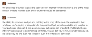 lizzibennet: the existence of tumblr tags as the sotto voce of internet communication