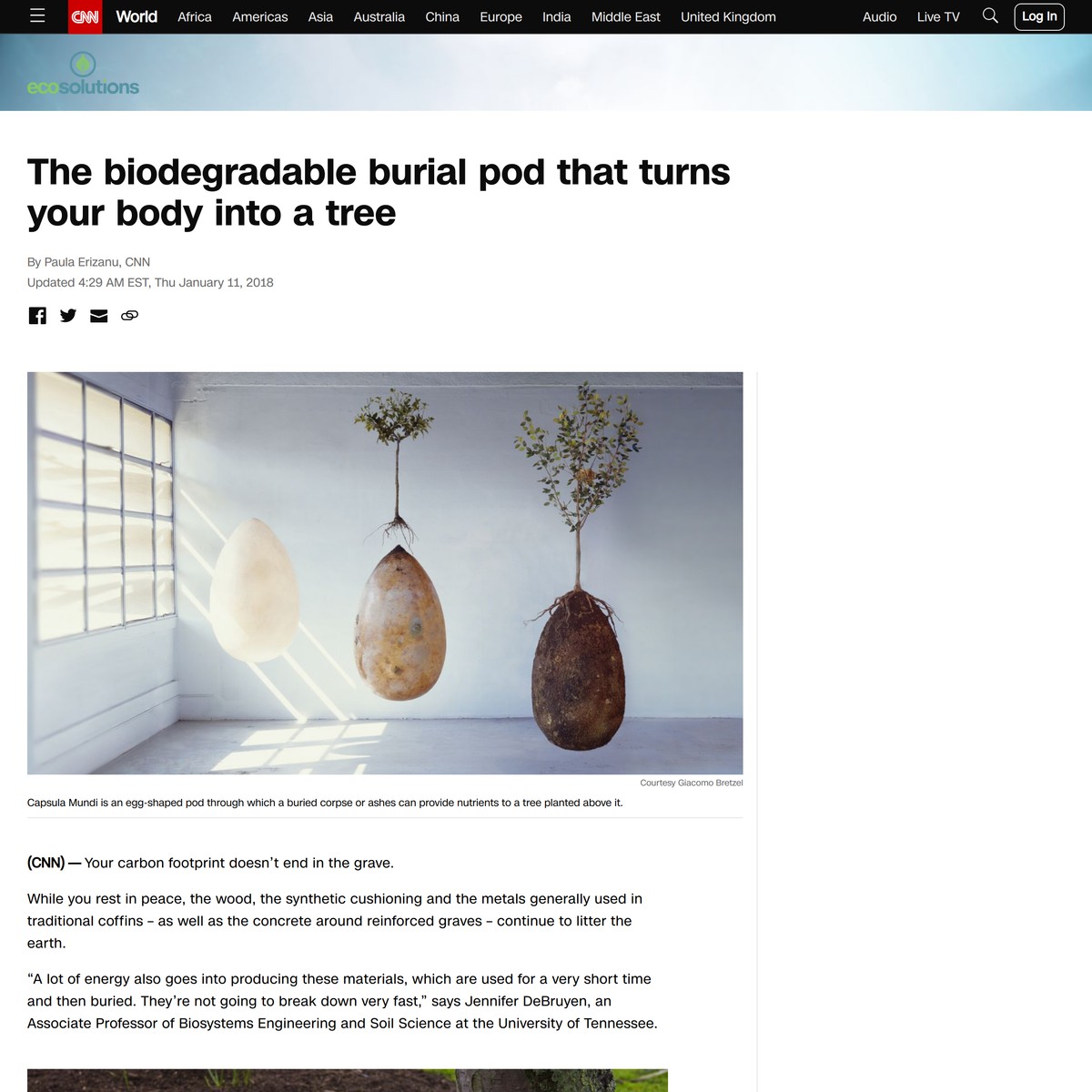 The biodegradable burial pod that turns your body into a tree CNN