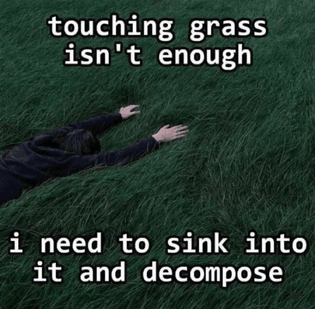 touching grass isn’t enough