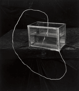tank. zeke berman 1988