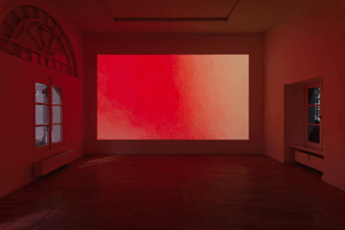 Carolyn Lazard