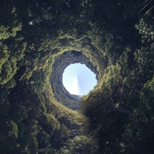 rabbithole-wonderland.jpeg