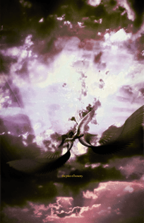 nectar 061