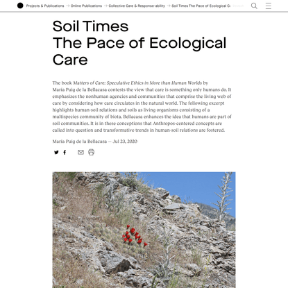 Soil Times The Pace of Ecological Care