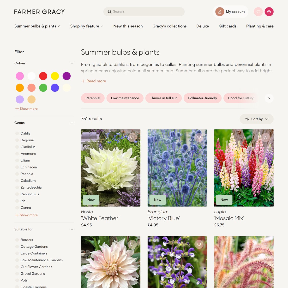 Summer Bulbs & Plants — Buy spring planting bulbs and perennials online