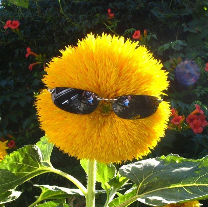 frqir1kxgai1ahv?format=jpg-name=900x900