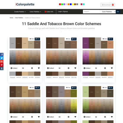 11 Latest Color Schemes with Saddle And Tobacco Brown Color tone combinations | 2022 | iColorpalette