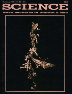 science.1985.227.issue-4684.largecover.png