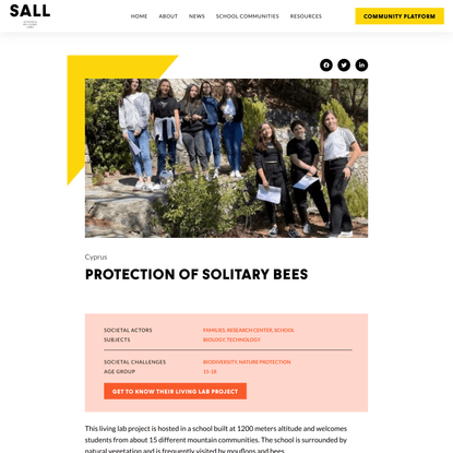 Protection of solitary bees - SALL