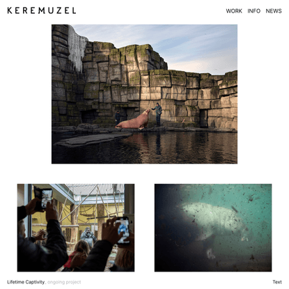 Lifetime Captivity - Kerem Uzel