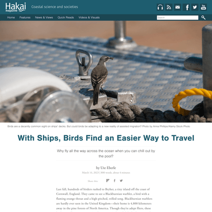 With Ships, Birds Find an Easier Way to Travel | Hakai Magazine