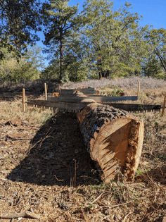 edited-crosscuts-on-log-scaled.jpg