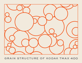 grain-structure-tmax-400.jpg
